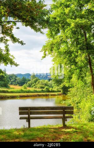 Panca parco con vista sul lago in campagna. Vista panoramica degli alberi e del verde su un fiume con una panca pubblica vuota in estate Foto Stock