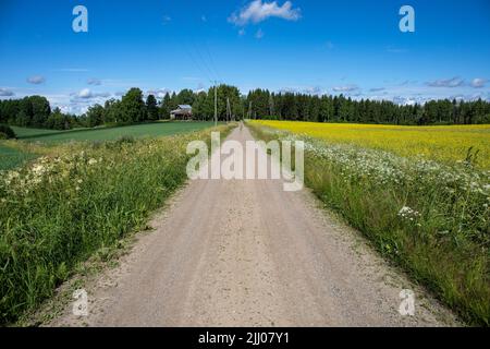 Campagna finlandese. Strada sterrata rurale circondata da campi in Orivesi, Finlandia. Foto Stock