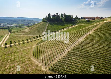 Splendide colline e vigneti che circondano il villaggio di la Morra nella regione delle Langhe. Cuneo, Piemonte, Italia Foto Stock