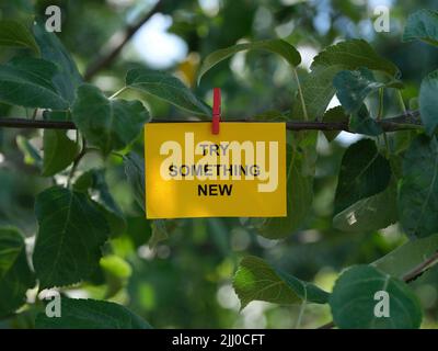 Una nota di carta con la frase prova qualcosa di nuovo su di esso attaccato ad un albero con una spilla vestiti. Primo piano. Foto Stock