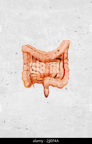 Moderno bello stilizzato monotono umano intestino simboli e icone organo - parte di un insieme Foto Stock