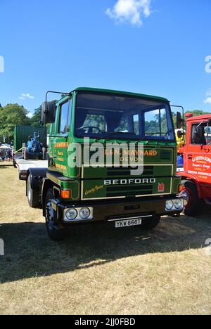 Un Bedford TM del 1978 parcheggiato in mostra al 47th Historic Vehicle Gathering Classic Car Show, Powderham, Devon, Inghilterra, Regno Unito. Foto Stock