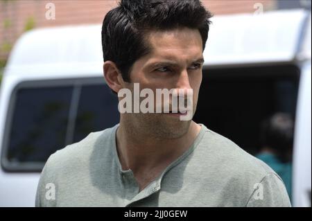 SCOTT ADKINS, LEGGENDARIO, 2013 Foto Stock