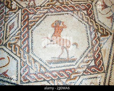 Antico mosaico romano di centauro sul pavimento di casa a Siviglia, Andalusia, Spagna Foto Stock