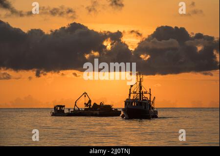 Splendida alba dorata su Palm Cove con la silhouette di un peschereccio ancorato al largo della costa nell'Estremo Nord Queensland in Australia. Foto Stock