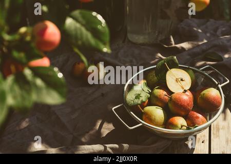 Un sacco di pere mature in una colandra su un tavolo da giardino in legno. Retro ancora vita in raggi del sole, sullo sfondo una bottiglia di vino. Home Winemaking concetto. Foto Stock