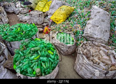 Lavoratori che selezionano a mano bottiglie di plastica in un impianto di riciclaggio, Bogura Bangladesh. Rifiuti di plastica, riutilizzo, industria verde, manodopera, pulizia, sostenibilità Foto Stock