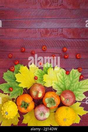 Foglie di acero con mele rosse, zucche, persimmons e briar su tavole di borgogna. Concetto di autunno, raccolto, rendimento di grazie. Spazio di copia Foto Stock