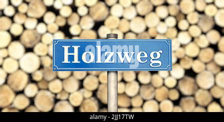 Sulla pista sbagliata - un cartello con la parola tedesca 'Holzweg' ('traccia sbagliata') Foto Stock
