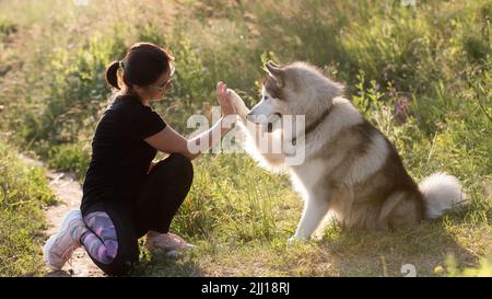 Ragazza e Husky fuori Foto Stock