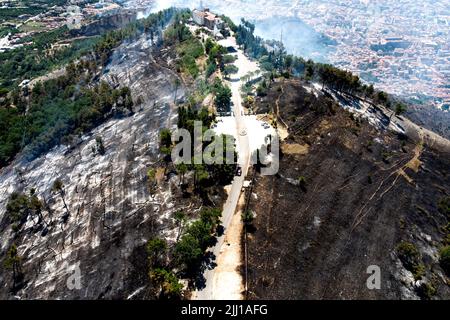 Vegetazione distrutta e gli alberi bruciati intorno al santuario di San Michele dal vasto incendio che colpì il Monte di San Michele nella città di Maddalo Foto Stock
