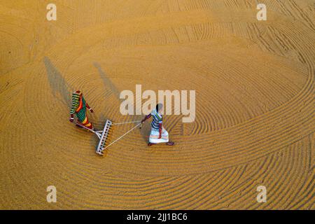 Lavoratori che essiccano risone o chicchi di riso su cemento e che sbucciano il riso nei mulini di villaggi, che mostrano agricoltura tradizionale, lavorazione dei cereali alimentari, agricoltura Foto Stock
