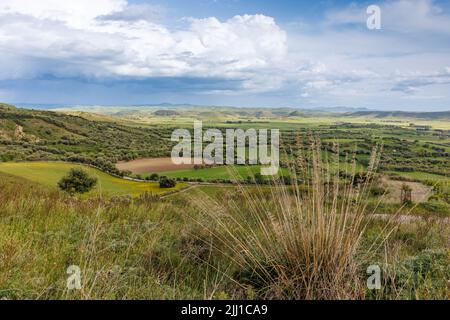 Nella Riserva Naturale Parco della Giara sull'isola di Sardegna Foto Stock