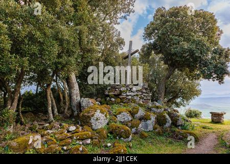 Nella Riserva Naturale Parco della Giara sull'isola di Sardegna Foto Stock