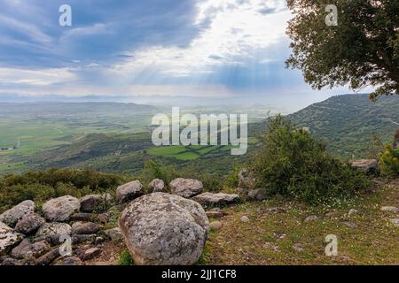 Nella Riserva Naturale Parco della Giara sull'isola di Sardegna Foto Stock