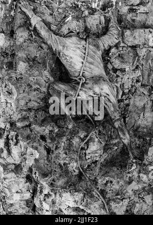 Giuseppe Ruggier, capace Seaman dalla malata "carta reale", tirando un'ancora di salvezza su una scogliera a Moefle nel 1859, Moefle, Anglesey, Galles Foto Stock