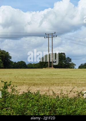 Una vista di campagna di campi e boschi e un'incongruente palo telegrafico contro e drammaticamente nuvoloso cielo. Foto Stock