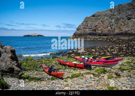 Kayak da ecotourist in riva al mare a Porth Llanlleiana, Anglesey, Galles Foto Stock