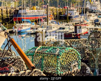 Vasi di aragosta e barche a South Bay Harbor, Scarborough, Regno Unito Foto Stock