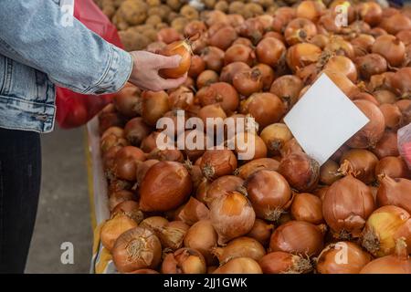 Acquisto di prodotti biologici freschi sul mercato agricolo. Una donna sceglie le erbe fresche, le verdure e la frutta ad una fiera del cibo. Foto Stock