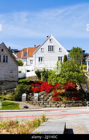 Case tradizionali bianche in legno a Nedre Strandgate, Stavanger, Norvegia Foto Stock