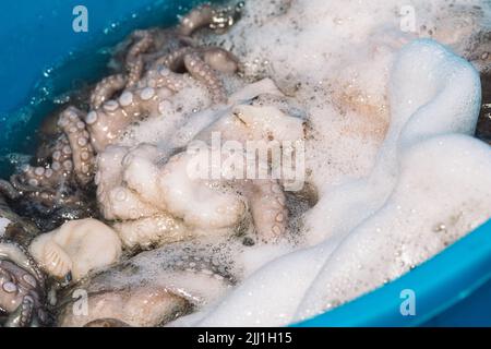 Il pescatore sbatte e ammorbidisce un grosso polpo fresco crudo in una vasca di plastica sul molo del porto di Bari, Puglia, Italia Foto Stock