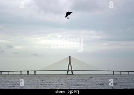 Mumbai, Maharashtra, India. 22nd luglio 2022. Un elicottero è visto sopra il collegamento di Bandra Worli Sea a Mumbai, India, 22 luglio 2022. (Credit Image: © Infranil Aditya/ZUMA Press Wire) Foto Stock