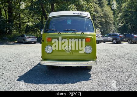 VW vintage van, verde lime esterno, parcheggiato vicino Elwha River, Olympic National Park, Port Angeles, Washington, USA. Foto Stock