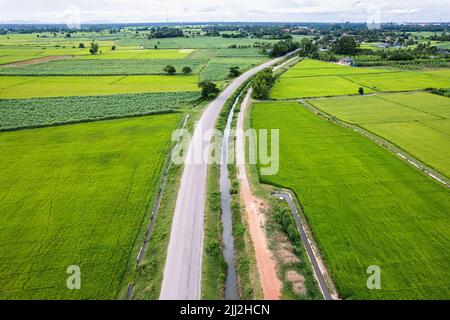 Vista della strada rurale e del canale attraverso il campo di riso in campagna Foto Stock