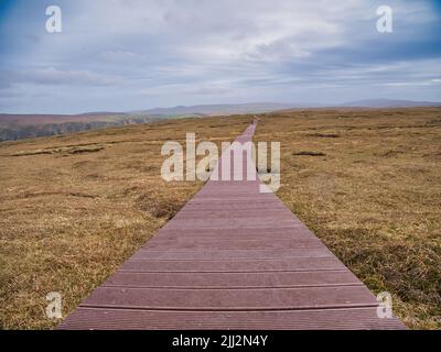 La nuova passerella in plastica riciclata porta i visitatori oltre la fragile area di terra e lontano dagli uccelli nidificanti su Hermaness Hill, sulla costa settentrionale di Unst Foto Stock