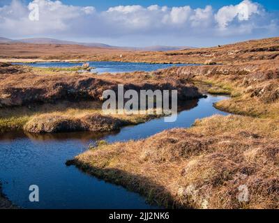 Un'area paludosa che forma torba vicino Eshaness, Northmavine sulla terraferma, Shetland, Regno Unito. In una giornata di sole con cielo blu e nuvole bianche. Foto Stock