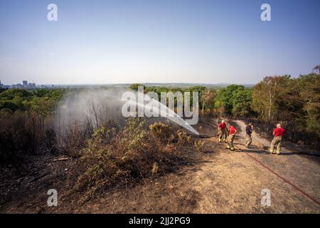 Una serie di incendi boschivi scoppia in tutta l'Inghilterra, quando l'intensa ondata di caldo raggiunge livelli record. I vigili del fuoco sono stati chiamati subito dopo mezzogiorno per assistere ad un incendio nei boschi di Shirley Hills Woods, uno dei parchi più grandi di Londra a Croydon. Anche se nessuno era ferisce, ha richiesto quattro motori di fuoco e più di 25 vigili del fuoco per portare il fuoco sotto controllo. Foto Stock