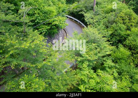 Tornante stretto angolo di strada - alto angolo sparato attraverso gli alberi nella foresta pluviale. Foto Stock