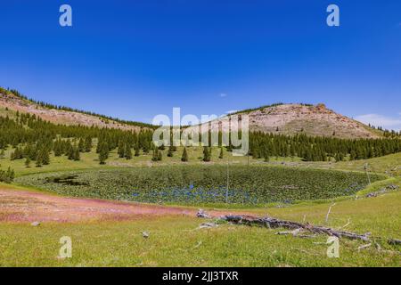 Vista soleggiata del paesaggio di Lily Pond a Wyoming Foto Stock