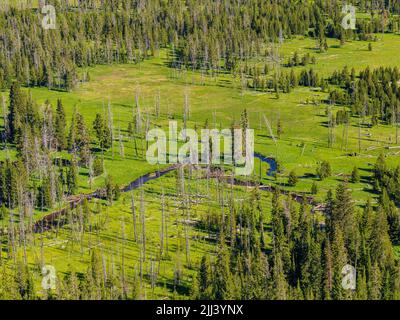 Vista ad angolo del Bacino Biscuit e del paesaggio del Wyoming Foto Stock