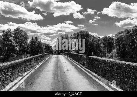 Ponte ad arco in pietra, Ponte Buriano, sul fiume Arno, vicino Arezzo, foto in bianco e nero, Toscana, Italia Foto Stock