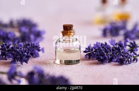 Bottiglia trasparente di olio essenziale con fiori freschi di lavanda su sfondo rosa Foto Stock