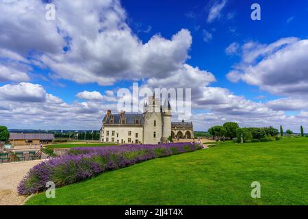 Castello reale d'Amboise (Francia) Foto Stock