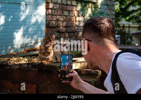 Giovane uomo che scatta foto del simpatico gattino tabby sdraiato sotto la luce del sole su uno smartphone moderno Foto Stock