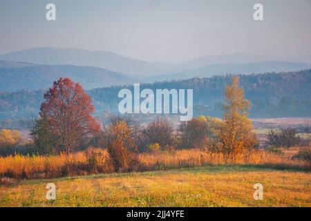 paesaggio rurale autunnale all'alba. bella campagna montagnosa in fine stagione autunnale. campi vuoti. alberi in rosso e arancio fogliame. atmo frizzante Foto Stock