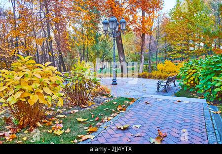 Il colorato parco autunnale con erba verde, cespugli gialli, alberi gialli e rossi con un vicolo curvo stretto, panchina e lampione d'epoca, Mezhyhirya, Ukr Foto Stock