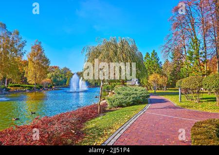 Bellissimi salici, uccelli gialli, ondeggiare nel vento intorno al lago con fontane nel parco autunnale, Mezhyhirya, Ucraina Foto Stock