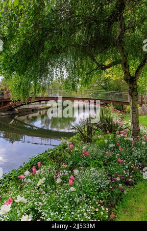 Fiume Eure con colorati fiori di primavera a Chartres Eure-et-Loire in Francia Foto Stock