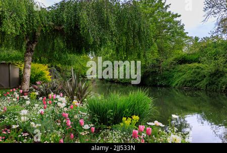 Fiume Eure con colorati fiori di primavera a Chartres Eure-et-Loire in Francia Foto Stock