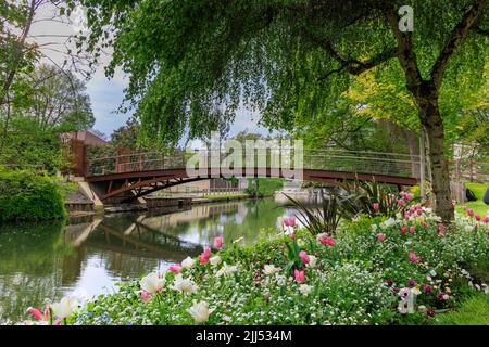 Fiume Eure con colorati fiori di primavera a Chartres Eure-et-Loire in Francia Foto Stock