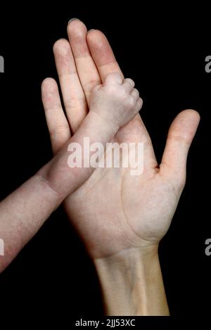 La mano di una donna caucasica tiene la mano piccola del suo neonato. Foto Stock