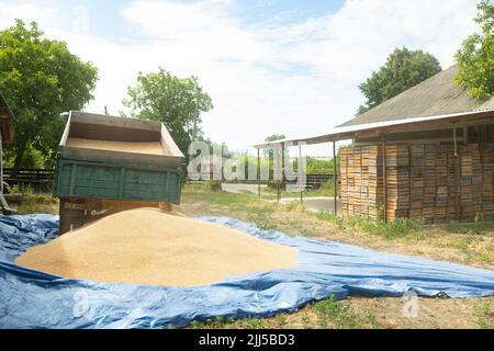 Ucraina, Vartekivtsi, 19 luglio 2022. Autocarri carichi di materiali da costruzione - sabbia a grana fine, per il trasporto di merci da costruzione sul mercato. Foto Stock