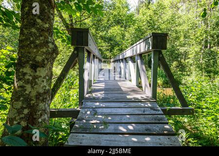 Ponte di legno a White Dune o Balta Kapa vicino al Mar Baltico in Lettonia Foto Stock