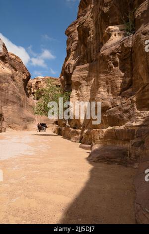 Carrozza a cavallo nel Siq, il canyon dell'antica Petra. Dal 1985, Petra è patrimonio dell'umanità dell'UNESCO Foto Stock