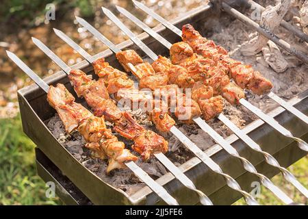 Barbecue sul grill. Carne marinata su spiedini, shish kebab, bistecche di manzo alla griglia durante l'estate Foto Stock